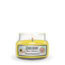 Beach Collection - Shaved Pineapple Ice™, Small Jar Candle (Collective)