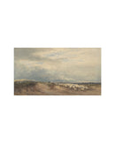 Sheep Field