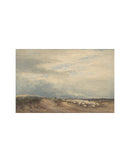 Sheep Field