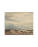 Sheep Field