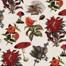 Shrooms Wallpaper, off-white and red