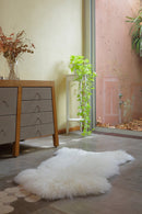 Single Fur Rug