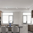 Siona Downlight