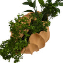 Sirene Shell Vase