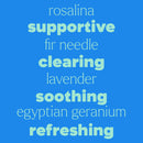 Sneezy Stop Essential Oil