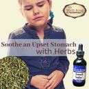 Stomach Soother Herbal Digestive Aid Tincture with Ginger