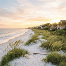 South Beach Sands - Aroma Oil - For Sienna Smart Diffuser