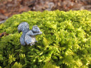 Squirrel Lapel Pin