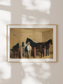 Stable II