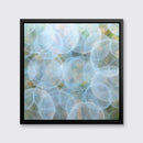 Staphisagria - Limited Edition Canvas Print