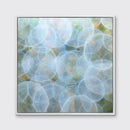 Staphisagria - Limited Edition Canvas Print