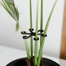 Climbing Plant Stem Support Stakes