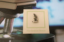 Stereo Microscope Lapel Pin