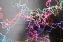 String Theory Lapel Pin