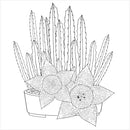 Succulents Adult Coloring Book | 31 Relaxing Plants Illustrations