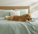 Snug + Bamboo Viscose Sham Set