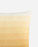 Ombre Throw Pillow