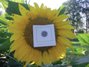 Sunflower Lapel Pin
