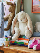 Sweet Nibble Bunny