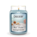 Beach Collection - Sweet Sugar Cane Mist™, Large Jar Candle (Collective)