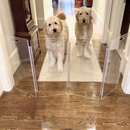 Tall Zig Zag Gate