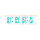 Teal and White Latitude Longitude | Real Wood Art Print