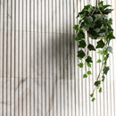 Arabescato Venato 4"x12" Slate Honed Marble Wall Tile - MSI Collection wall view 2