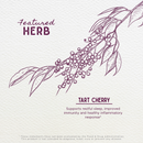 Tart Cherry Tincture