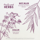 Cranial Comfort Tension Release