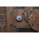 Natural Finish Hand Carved Antique Door Solid Wood Large Bedroom Armoire