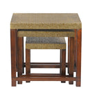 Elegant Brass Foil Cladded Solid Wood Nesting Tables- Set of 3