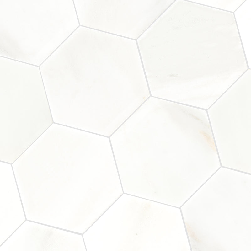 Greecian White 8"x9" Hexagon Polished Marble Mosaic Floor And Wall Tile - MSI Collection tile view 3