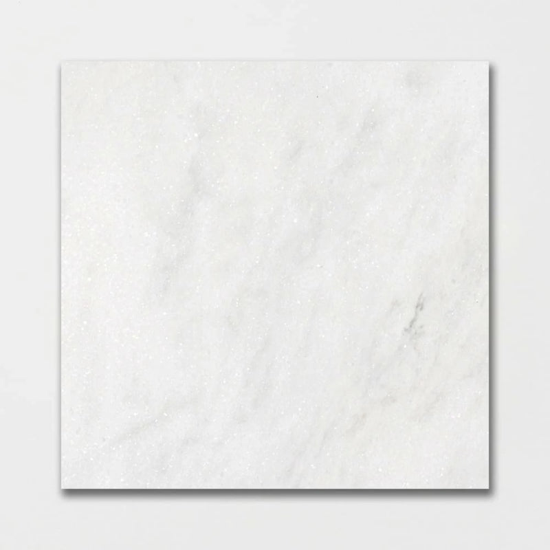 Glacier Honed 18"x18" Marble Tile Product shot tile view
