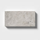 Silver Skyes 2 3/4"x5 1/2" Polished Marble Tile angle view