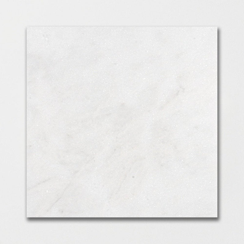 Glacier Honed 18"x18" Marble Tile Product shot tile view