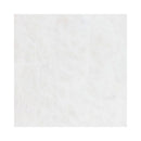 Clear Ice 24"x24" Polished Marble Tile tile view
