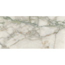 Green 12"x24" Polished Marble Tile Product shoot tile view