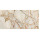 Gold 12"x24"Polished Marble Tile Product shoot tile view 1