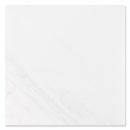 Ice white 18"x18" Polished Marble Tile Product shoot tile view