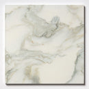 Calacatta Renaissance Honed Marble Tile