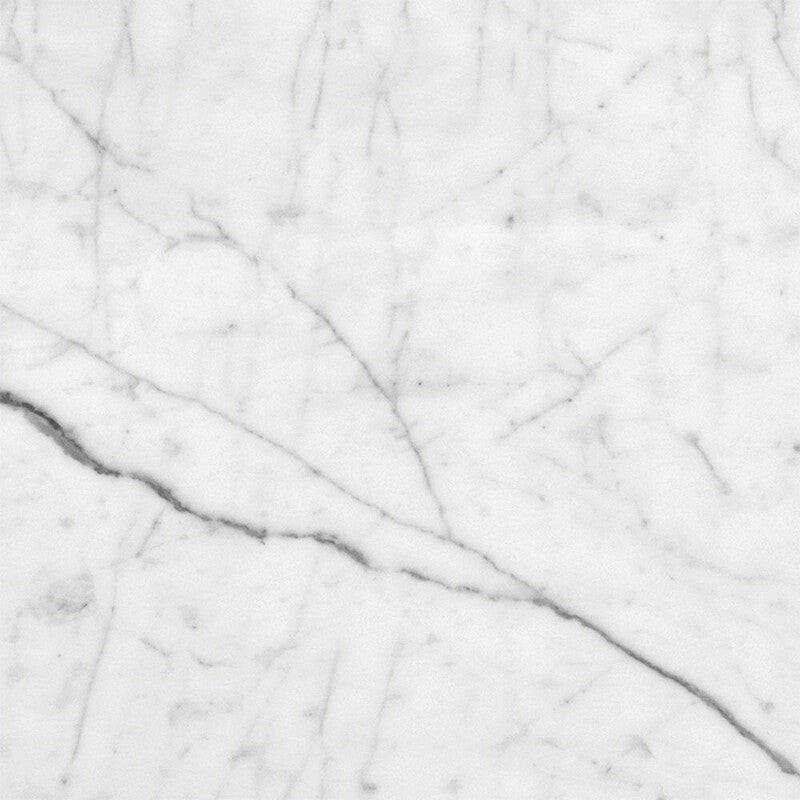 White Carrara 12"x12" Honed Marble Tile closeup view