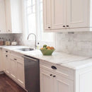 Keefer Mix C 2 3/4"x5 1/2" Polished Marble Tile kitchen view