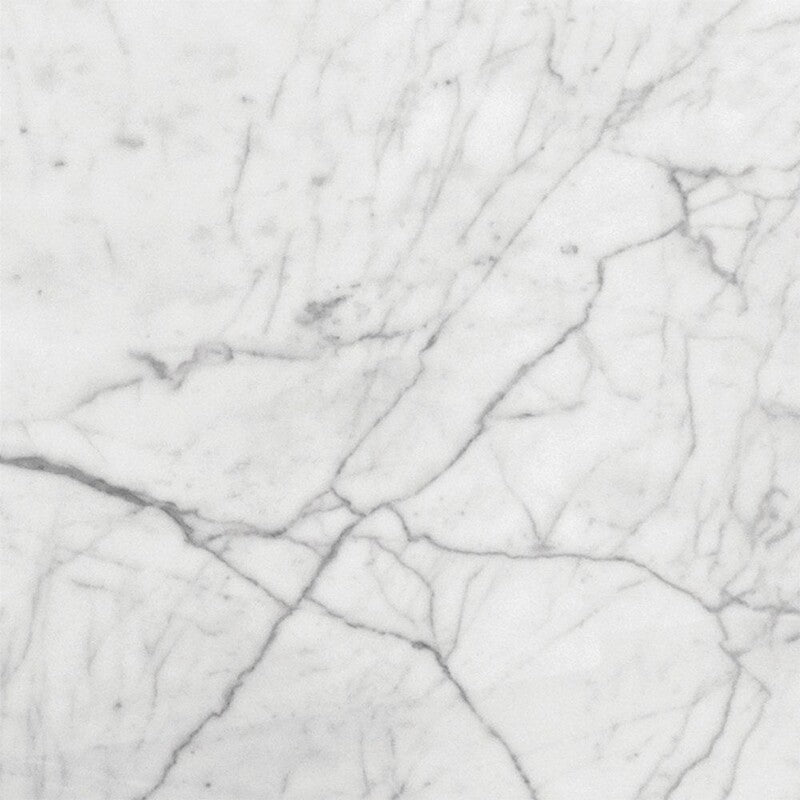 White Carrara 18"x18" Honed Marble Tile closeup view