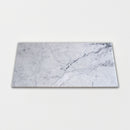 Citylight 12"x24" Polished Marble Tile Product shoot tile view 1
