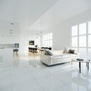 Ice white 24"x24" Polished Marble Tile living room view
