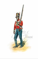 5th West India Regiment, 1814