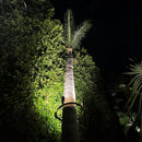 TRA01 Palm Tree Mounting Ring Light Bracket Landscape Lighting Accessory Light Fixture Mount
