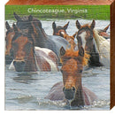 Sea Horses in Water Chincoteague Virginia TRE9 | Wall Art Print on Real Wood
