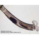 Science TRM 301 Microscope