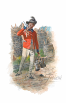 Black Company of Pioneers